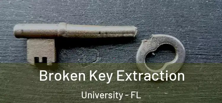 Broken Key Extraction University - FL