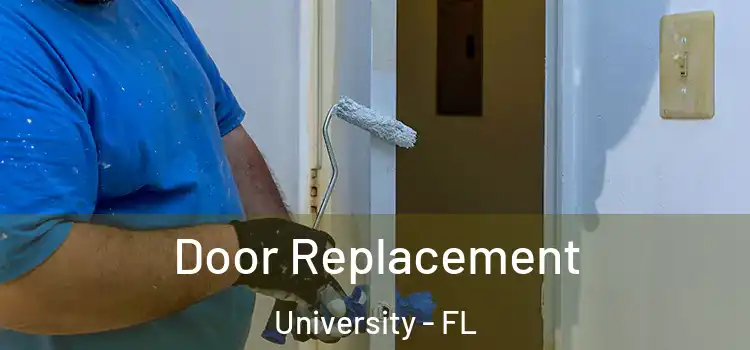  Door Replacement University - FL
