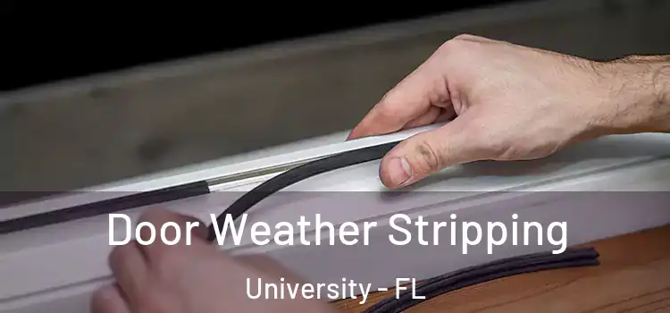 Door Weather Stripping University - FL