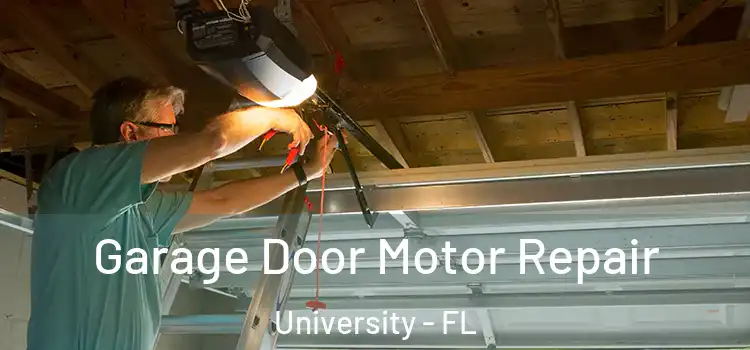  Garage Door Motor Repair University - FL